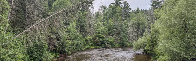 Brule River State Forest – Day 2