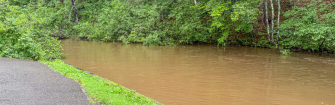 Brule River State Forest – Day 2