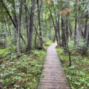 Brule River State Forest – Day 3