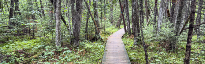 Brule River State Forest – Day 3