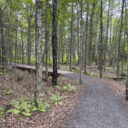 Pattison State Park