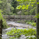 Pattison State Park