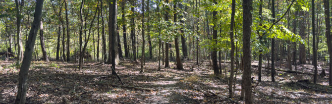 Muskingum River State Park