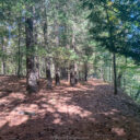 Muskingum River State Park