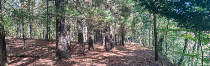 Muskingum River State Park