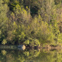 Muskingum River State Park