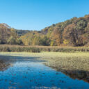 Jefferson Lake State Park